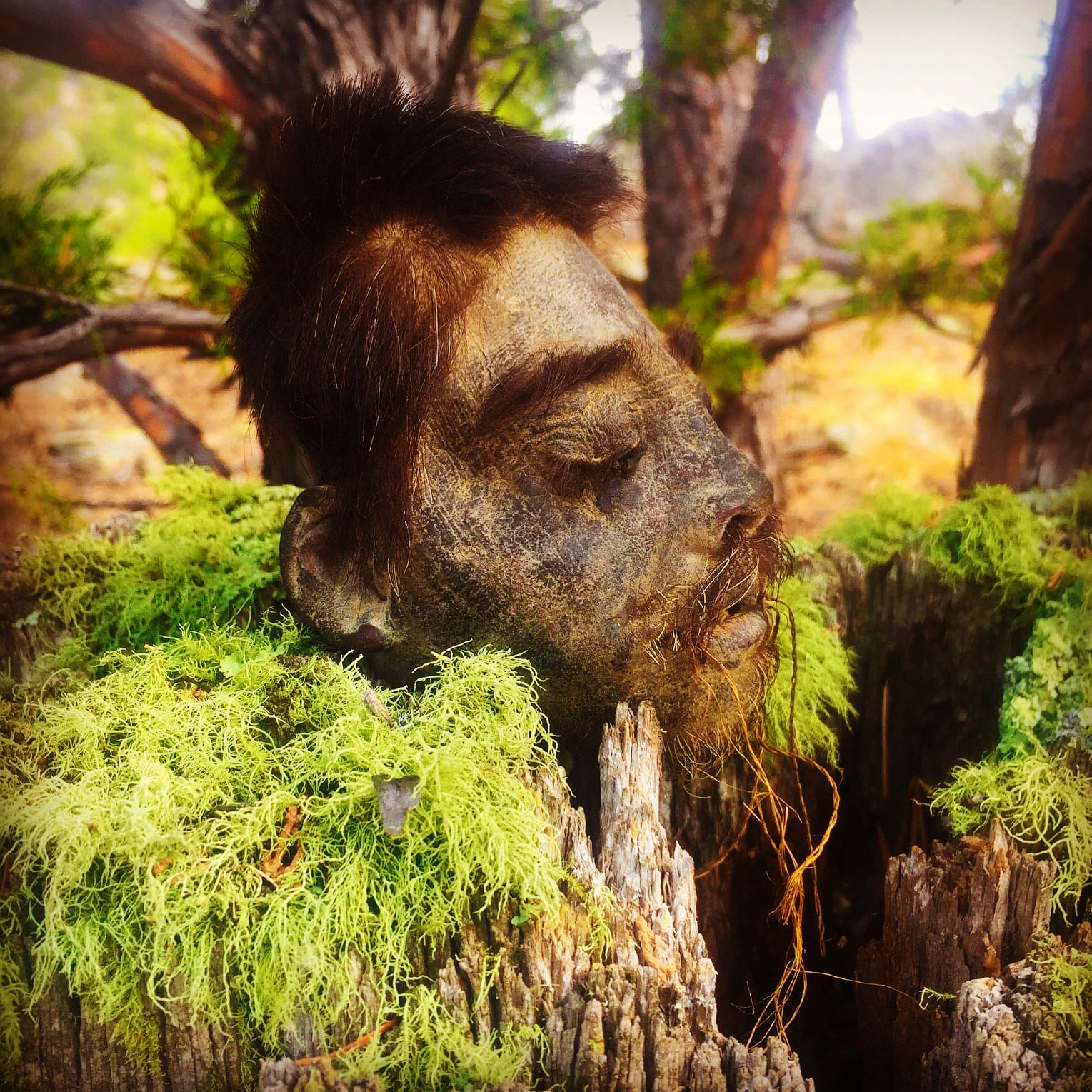 8332B7B5-20EB-4EFB-89D5-4A0DDF3D3EF5